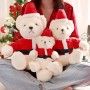 Ours en peluche personnalisé du père noël, jouets en peluche personnalisés, cadeau de noël pour les enfants