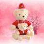 Ours en peluche personnalisé du père noël, jouets en peluche personnalisés, cadeau de noël pour les enfants