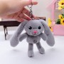 Porte-clés personnalisé en peluche Lapin Porte-clés personnalisé Lapin en peluche