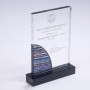 Trophée de cristal personnalisé, lettrage gratuit, plaque personnalisée autorisée