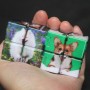 Rubik's Cube personnalisé avec la photo de votre animal de compagnie, forme étrange différente