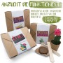 Coffret cadeau créatif de plantation de bonsaï d'intérieur