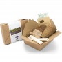 Coffret cadeau créatif de plantation de bonsaï d'intérieur