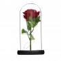 Fleur de rose illuminée, cadeau de fleur unique dans un dôme en verre avec boîte-cadeau