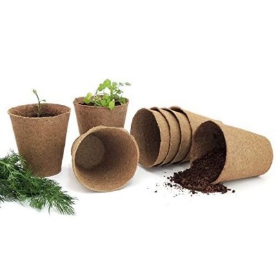 Kit de démarrage d'herbes d'héritage bricolage, Kit de meilleure qualité, Kit de démarrage de jardin d'herbes d'intérieur person