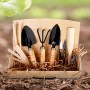 Kit de fleurs de jardin, plantes de jardin domestique